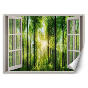 fototapeta, okno - promienie słońca w lesie - 280x200