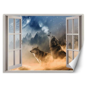 fototapeta, okno - wyjące wilki - 280x200