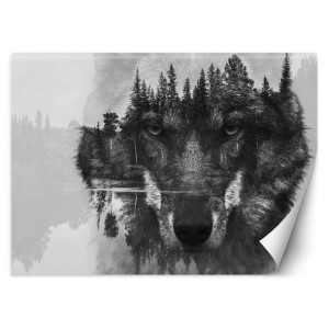fototapeta, wilk i las - 254x184