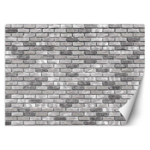 fototapeta, mur z szarej cegły - 450x315