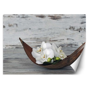 fototapeta, orchidee zen - 350x245