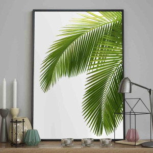 Poster/bahamas/70x100