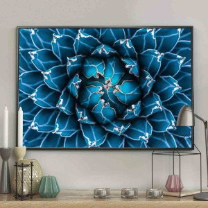 Poster/blossom/40x50