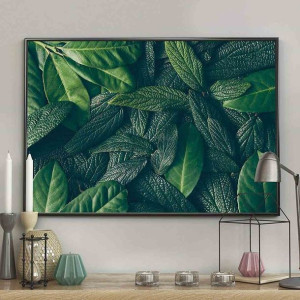 Poster/canopy/70x100