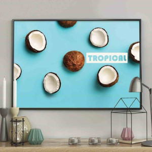 Poster/coconuts/70x100