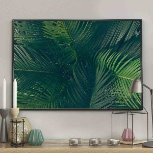 Poster/evergreen/70x100