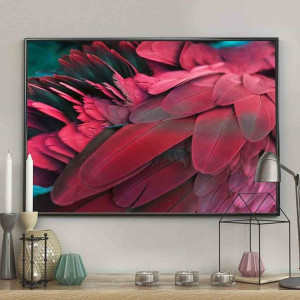 Poster/feathers/red/40x50