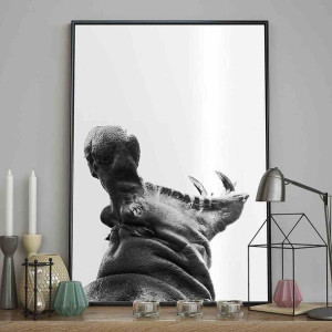Poster/hippopotamus/70x100