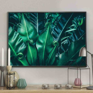 Poster/intropics/50x70