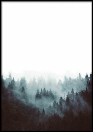Poster/mist/70x100