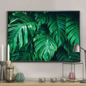 Poster/monstera/50x70