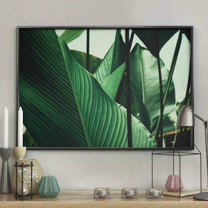 Poster/petiole/50x70