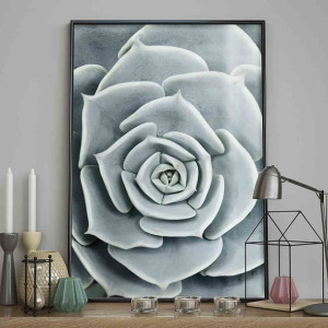 Poster/sucullent/40x50