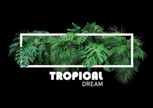 Poster/tropical/frame/40x50