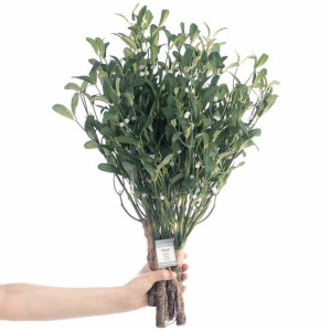 Artflower/ah/planti/10pcs
