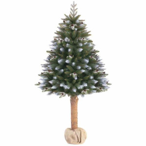 Cs/ah/pine/jasmine/220