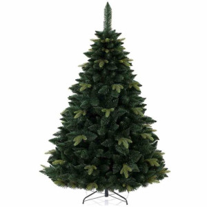 Cs/ah/pine/debbie/280