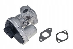 Zawór Egr Citroen Jumper Peugeot Boxer 2.2hdi 06-
