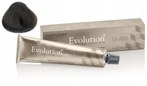 Alfaparf Evolution Cube Farba Do Włosów 6NB 60 ml