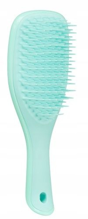 Tangle Teezer Wet Detangling Miętowa Mini