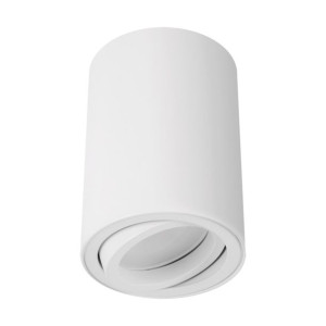 Oprawa sufitowa tuba BEMOL DWL GU10 White 03537