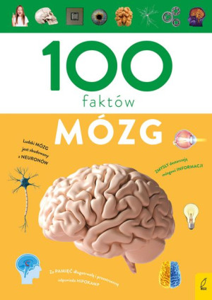100 Faktów Mózg Mukrecki Dominik Książka Wilga