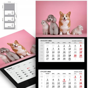 Trójdzielny Kalendarz 2023 CUTE DOG CAT Top Wzory