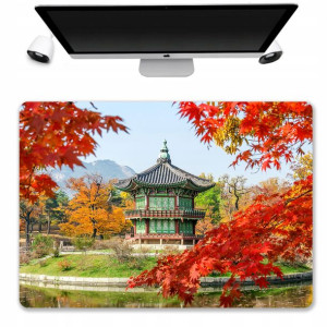 Podkładka Mata Ochronna Biurko 50x35 Korea WZORY