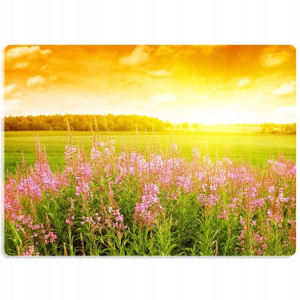 Podkładka Mata Ochronna Biurko 50x35 Natura Wzory