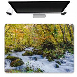 Podkładka Mata Ochronna Biurko 50x35 Natura WZORY