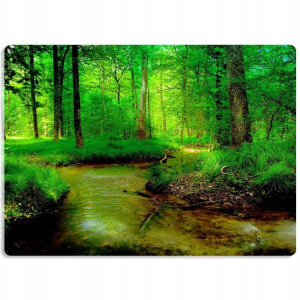Podkładka Mata Ochronna Biurko 50x35 Natura Wzory