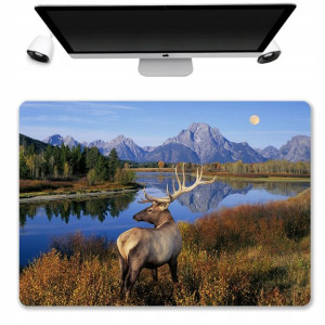 Podkładka Mata Ochronna Biurko 50x35 Natura WZORY