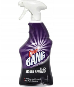 Cilit Bang Spray Pleśń i Czarne Osady Grzyby 750ml
