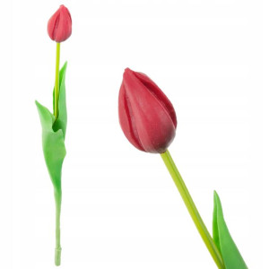 Tulipan Pojedynczy Gumowany Czerwony Jak Żywy