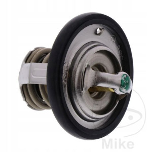 Termostat Tourmax (TMT-303)