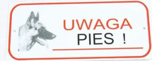 Tablica Tabliczka Ostrzegawcza Uwaga Pies Mała