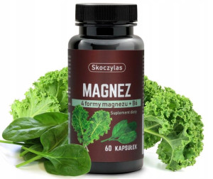 MAGNEZ 4 FORMY czarna rzepa +Wit.B6 Skoczylas