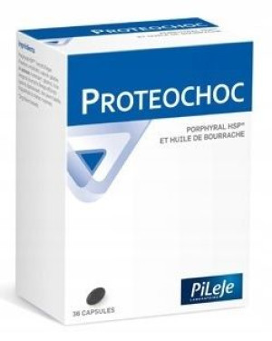 Pileje PROTEOCHOC 36 kaps.