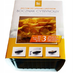 Zestaw do uprawy grzybów – Boczniak cytrynowy 3 l