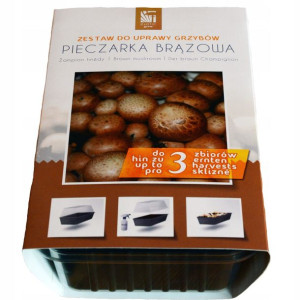 Zestaw do uprawy grzybów – Pieczarka brązowa – 3 l