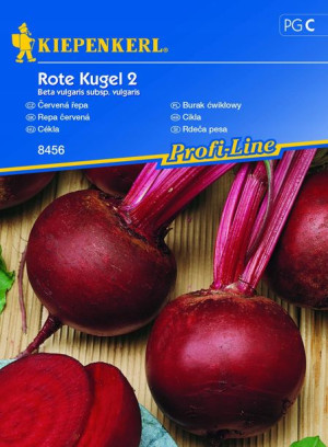 Burak ćwikłowy 'Rote Kugel 2' - Okrągły - Kiepenke