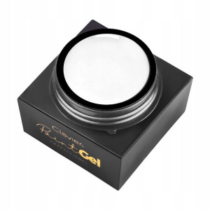Żel Do Zdobień Paint Gel Ornamenty 5g Biały White