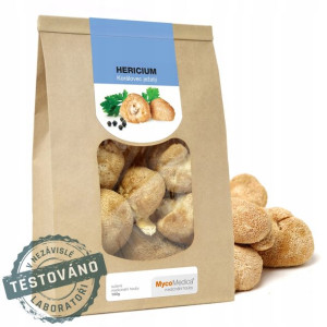 MycoMedica Hericium Soplówka Jeżowata 100g