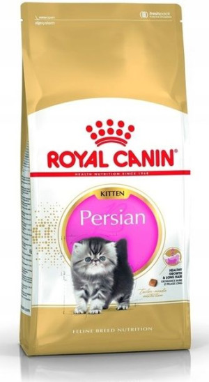 Royal Persian Kitten 2kg