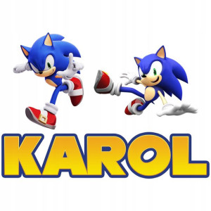 Naklejki Na Ściane Twoje Imię Sonic Z2