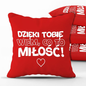 PODUSZKA 40x40 Prezent na WALENTYNKI Różne WZORÓW