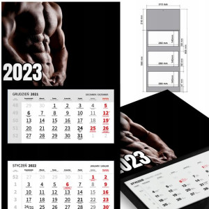 KALENDARZ Ścienny 2023 SPORT Kulturystyka WZORY