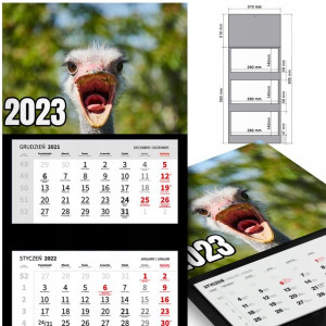 KALENDARZ Ścienny 2023 Wiele Wzorów Różne PTAKI