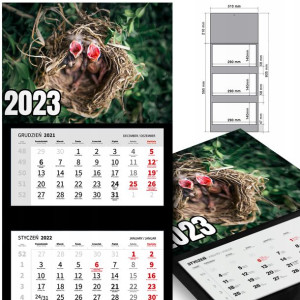 KALENDARZ Ścienny 2023 Wiele Wzorów Różne PTAKI