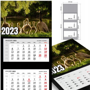 KALENDARZ Ścienny 2023 Wiele Wzorów Różne PTAKI